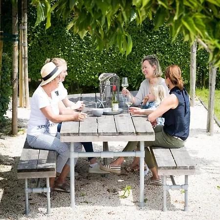 Near Dutch Coast & Forest * Noordwijk