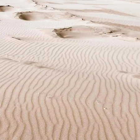 Near Dutch Coast & Forest Ferienhaus