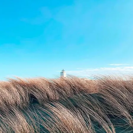 Near Dutch Coast & Forest Ferienhaus Noordwijk