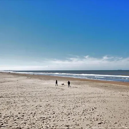 Near Dutch Coast & Forest Noordwijk
