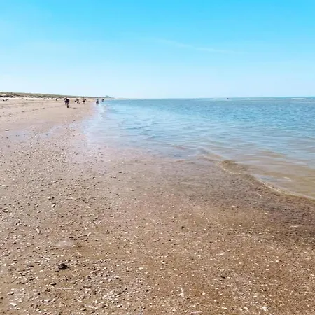 Near Dutch Coast & Forest Noordwijk