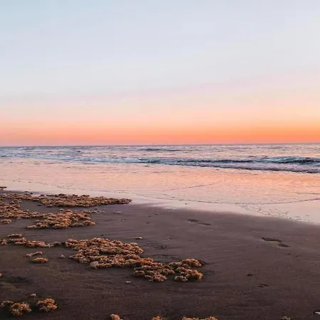 Ferienhaus Near Dutch Coast & Forest Noordwijk