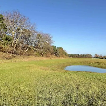 Near Dutch Coast & Forest Noordwijk