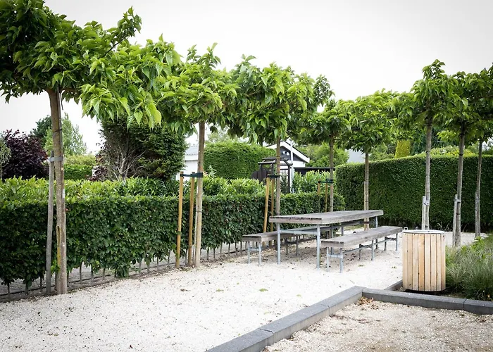 Near Dutch Coast & Forest