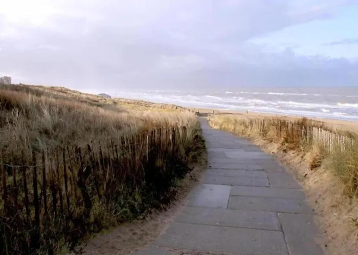 Near Dutch Coast & Forest Nyaraló