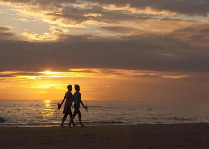 펜션 Near Dutch Coast & Forest