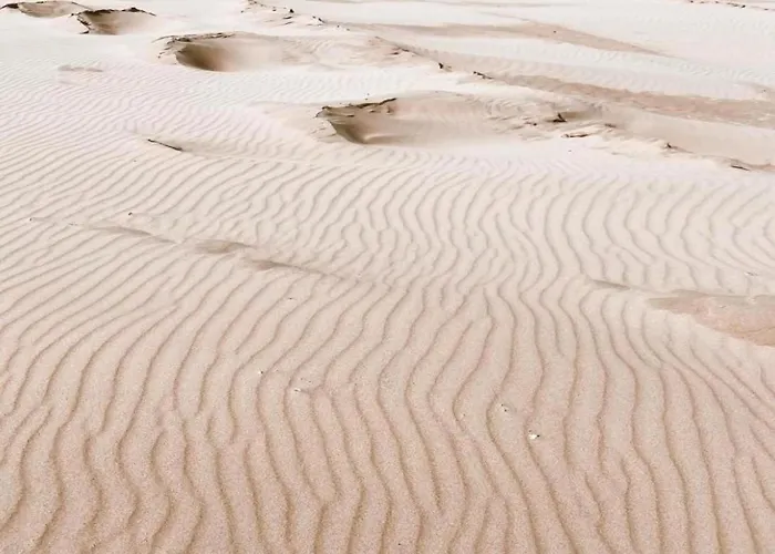 Near Dutch Coast & Forest بيت للعطل