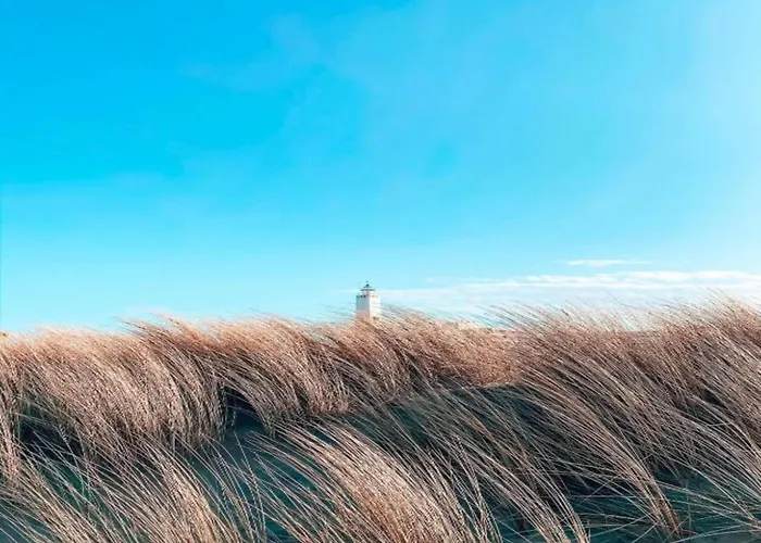 Near Dutch Coast & Forest بيت للعطل نوردفيك