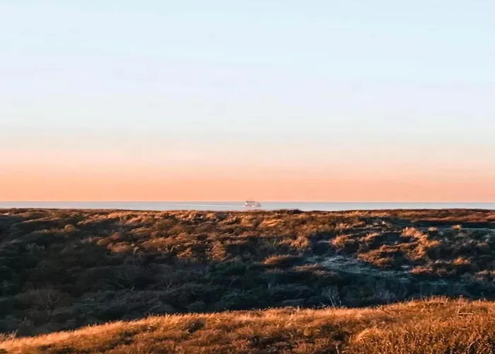 Near Dutch Coast & Forest Nyaraló *