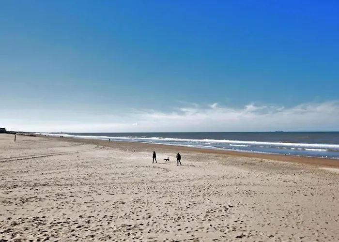 Near Dutch Coast & Forest نوردفيك