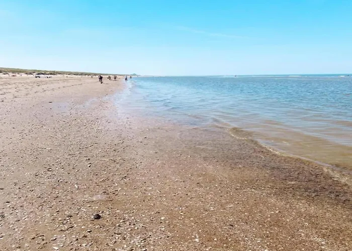 Near Dutch Coast & Forest نوردفيك