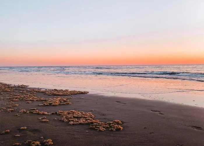 펜션 Near Dutch Coast & Forest 노르트베이크