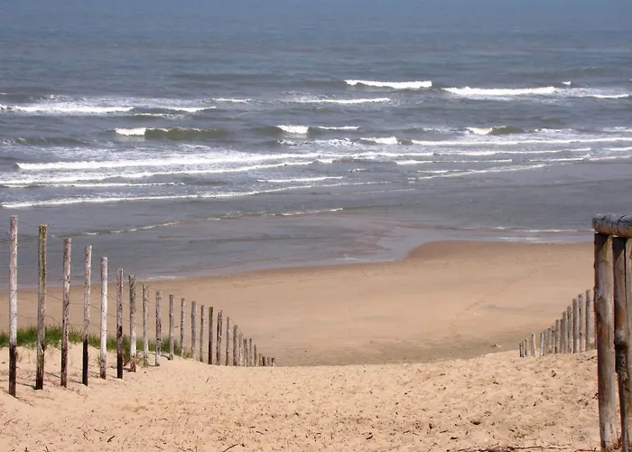 Near Dutch Coast & Forest Nyaraló Noordwijk