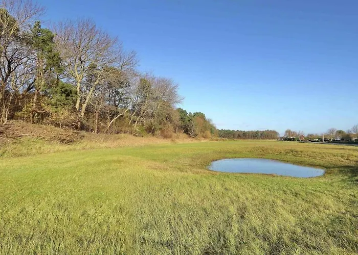 Near Dutch Coast & Forest 노르트베이크