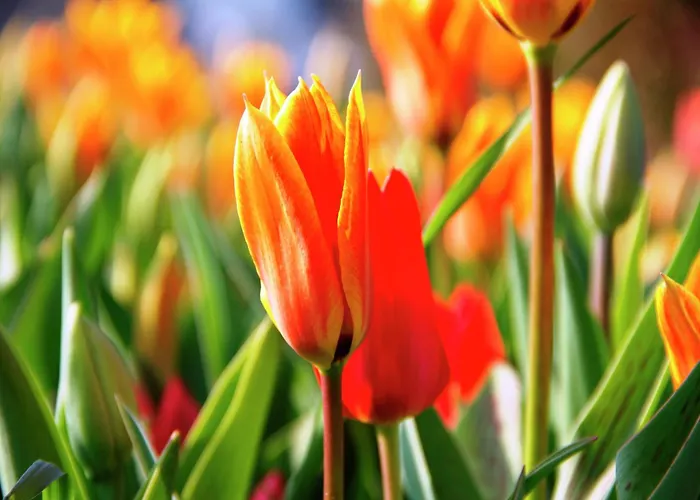 펜션 Near Dutch Coast & Forest 노르트베이크