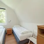 Near Dutch Coast & Forest
