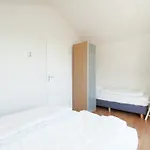 Near Dutch Coast & Forest 노르트베이크