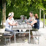 Near Dutch Coast & Forest * 노르트베이크