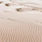 Near Dutch Coast & Forest 펜션