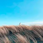 Near Dutch Coast & Forest 펜션 노르트베이크