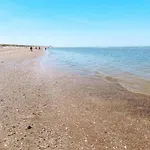 Near Dutch Coast & Forest 노르트베이크