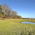 Near Dutch Coast & Forest 노르트베이크
